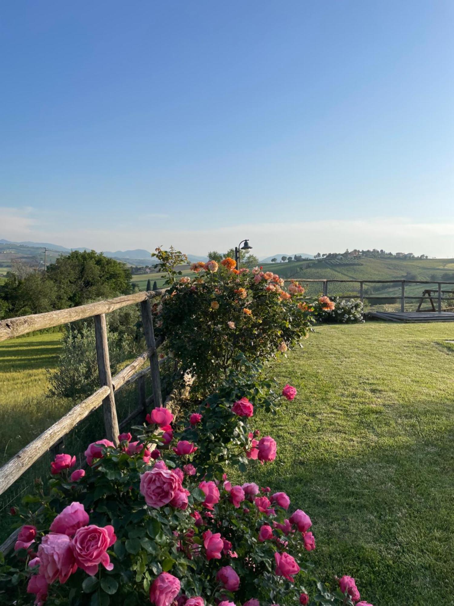Montenovo Country House Ostra Vetere Exterior photo